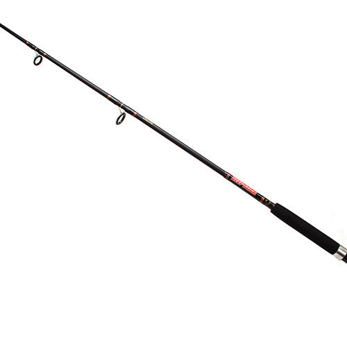 Beefstick-BT Saltwater Boat Spinning 6'6" for Fishing - GhillieSuitShop