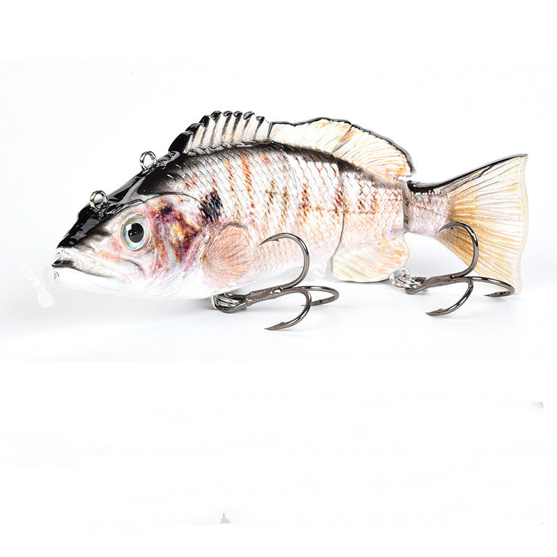 Rechargeable LED Lures - Blue Force Sports