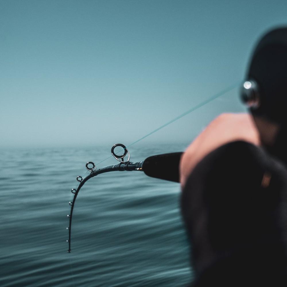 DAIWA HARRIER X JIGGING SERIES ROD