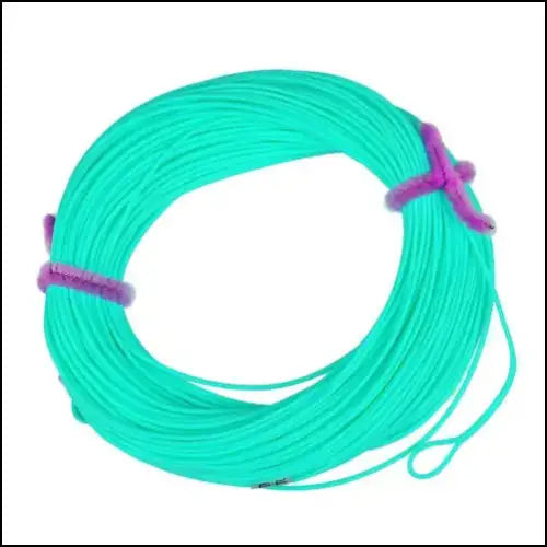 Fly Fishing Line Weight Forward Floating 2F - 8F - 100ft