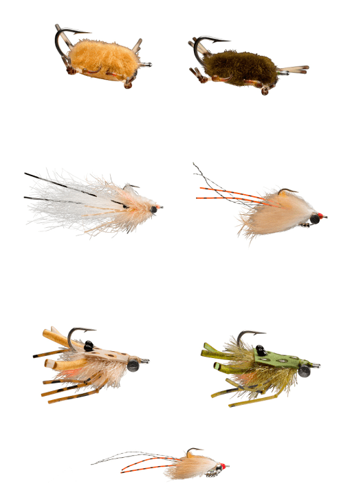 RIO PERMIT ASSORTMENT