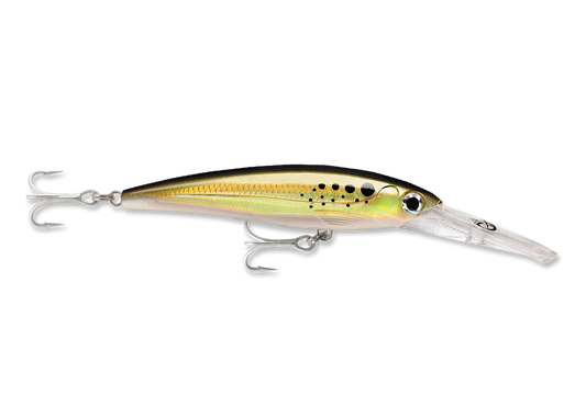 RAPALA X-RAP MAGNUM DEEP DIVER 5 1/2"